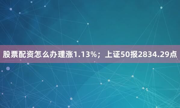 股票配资怎么办理涨1.13%；上证50报2834.29点