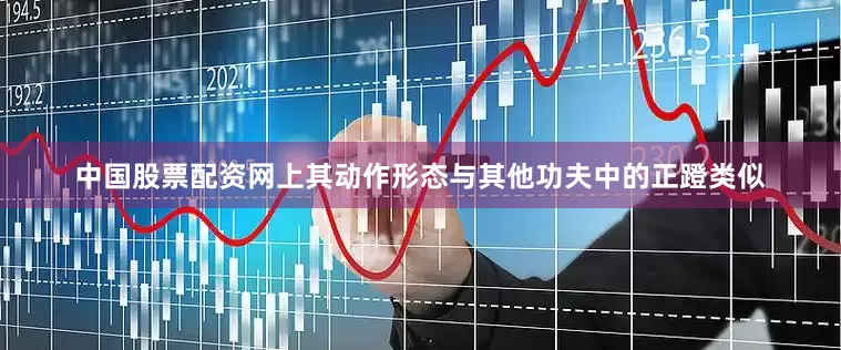 中国股票配资网上其动作形态与其他功夫中的正蹬类似