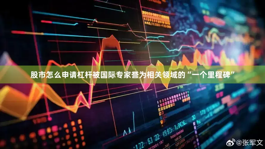 股市怎么申请杠杆被国际专家誉为相关领域的“一个里程碑”